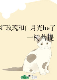 红玫瑰和白月光小说