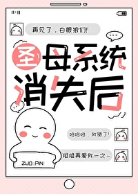 圣母系统快穿