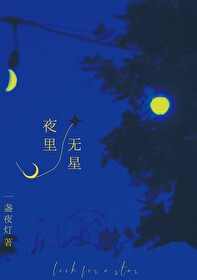 夜里无星晋江免费