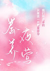 夜莺喂养
