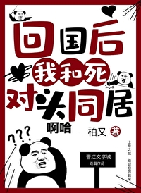 回国小说