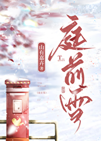 庭前雪dj