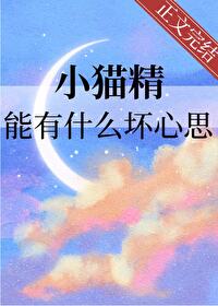 小猫精灵是用什么来形容