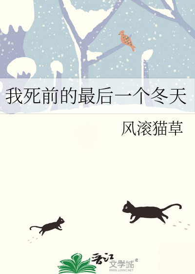 最后一个冬天电视剧