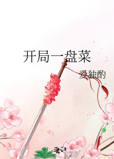 开局一个碗什么意思