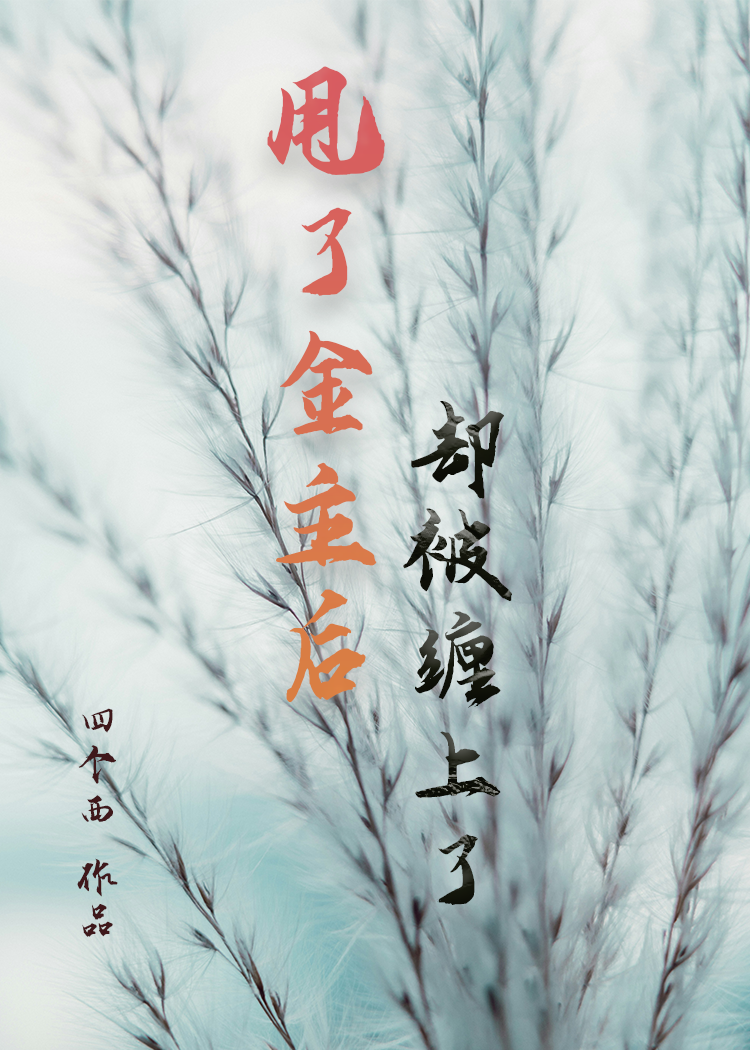 甩了金主之后