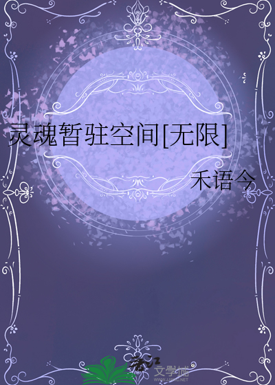 灵魂停留简介