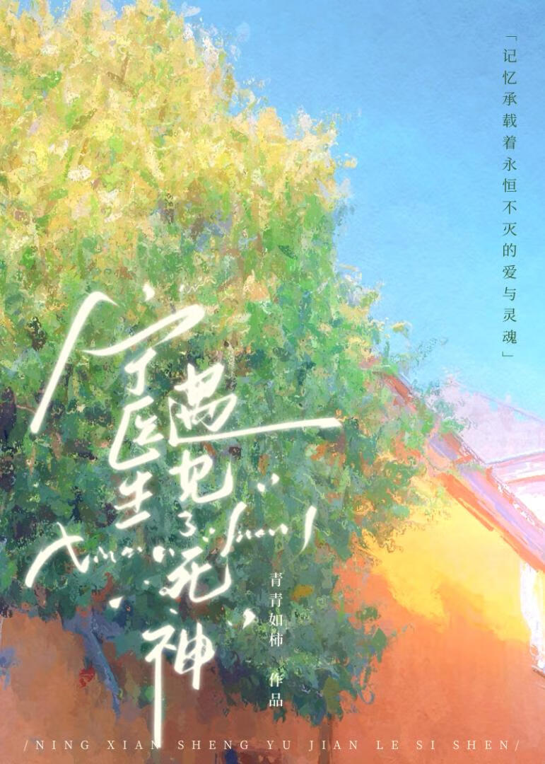 宁医生和叮叮是哪部电视剧