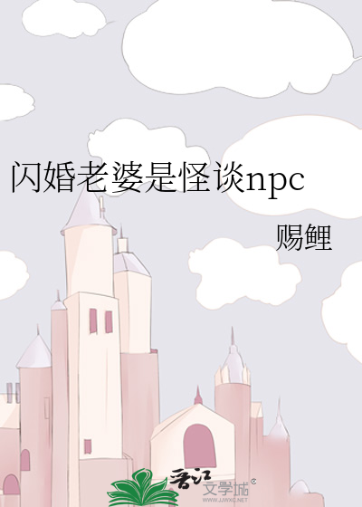 闪婚之老婆是黑客