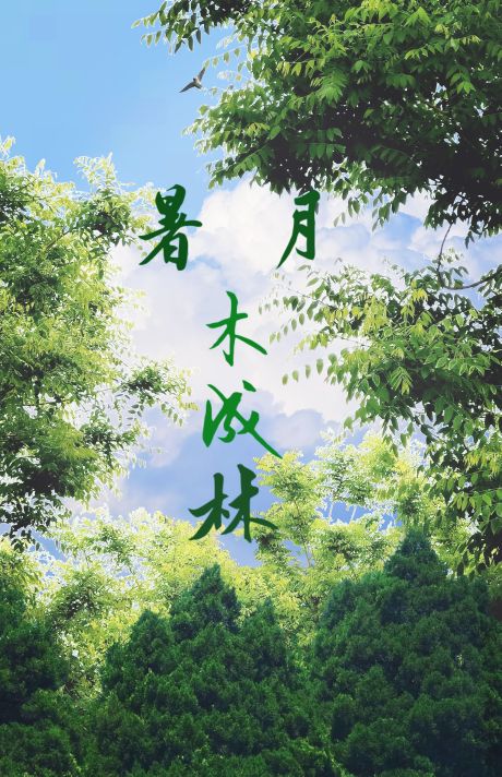秀木成林的作品