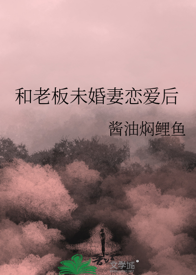 和老板结婚小说