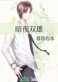 暗夜雄狮剧情简介