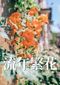 花样男子mv