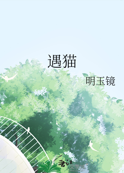 遇猫游戏