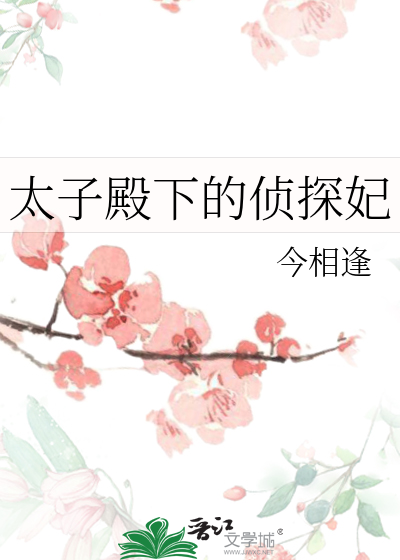 太子殿下的宠妃小说
