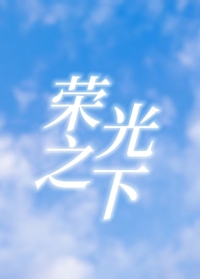 全职高手之荣光之巅全文阅读