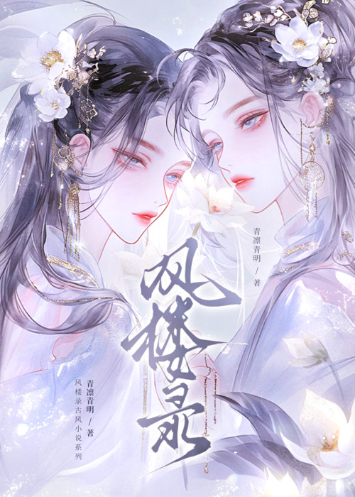 阿风重生小说