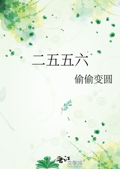 二五六是什么意思