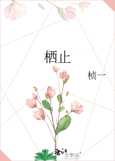 栖止小说TXT百度网盘资源