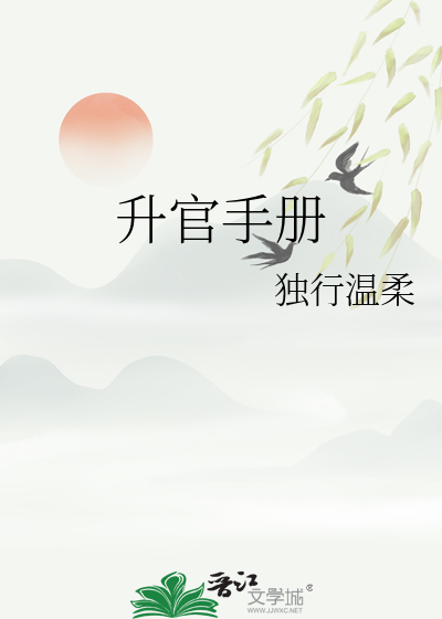 升官指南小说怎么样
