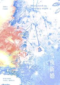 雪夜结局