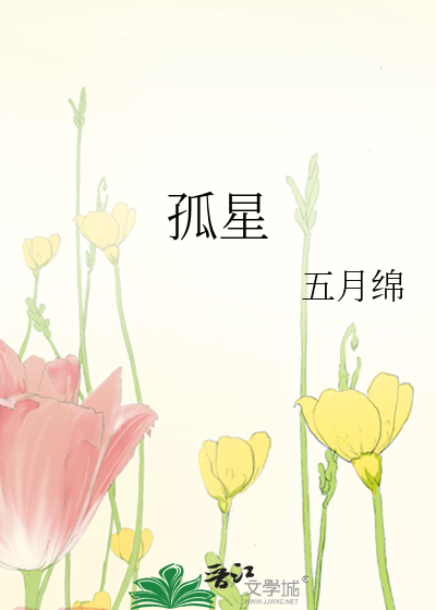 孤星共和国