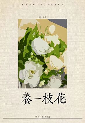 我家夫人全反派女主是谁