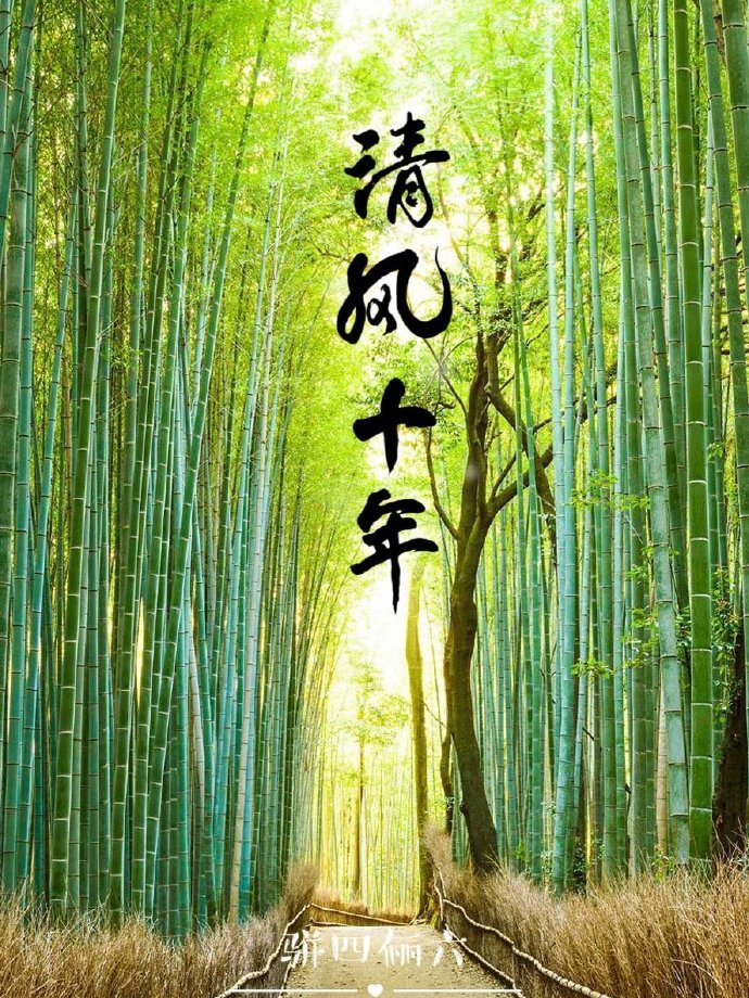 过气偶像她翻红成功了