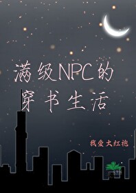 满级npc的穿书生活百度网盘