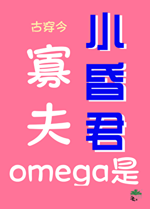 王妃传（女尊）