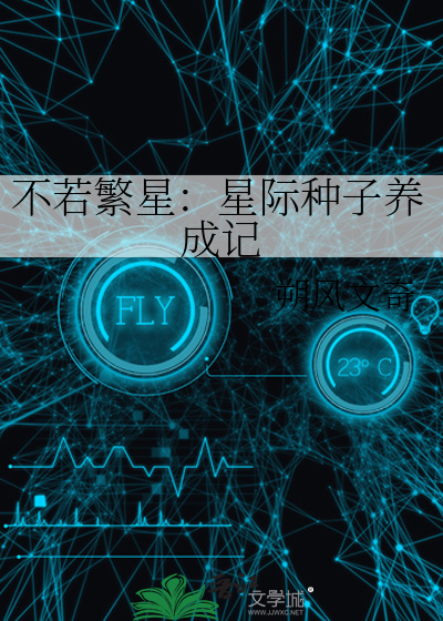 银戒指